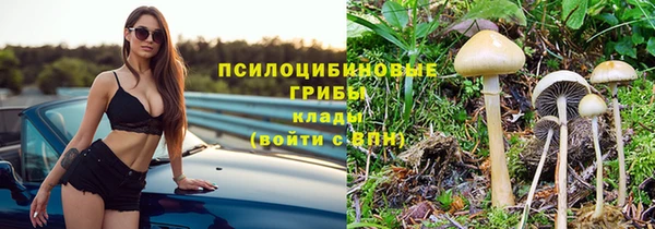 скорость Алзамай